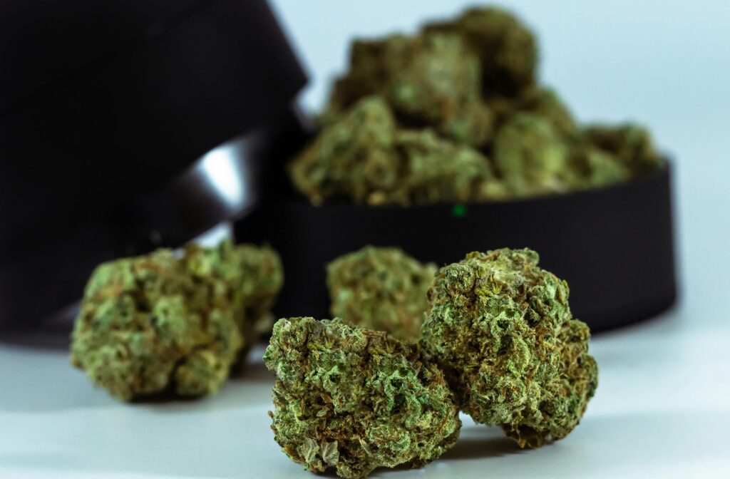 cannabis terpenes