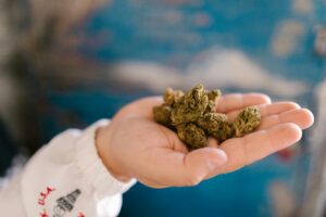 cannabis flower mount laurel